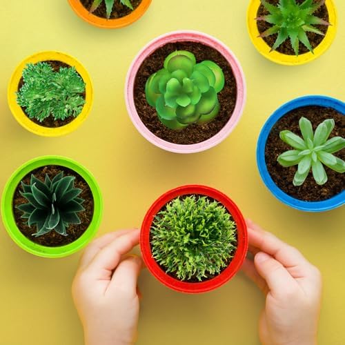 QUOZUO Green Succulent Plants, 6pcs Mini Fake Succulents Plants for DIY Crafting Home Floral Wall Office Decoration (excluding pots) - Image 3