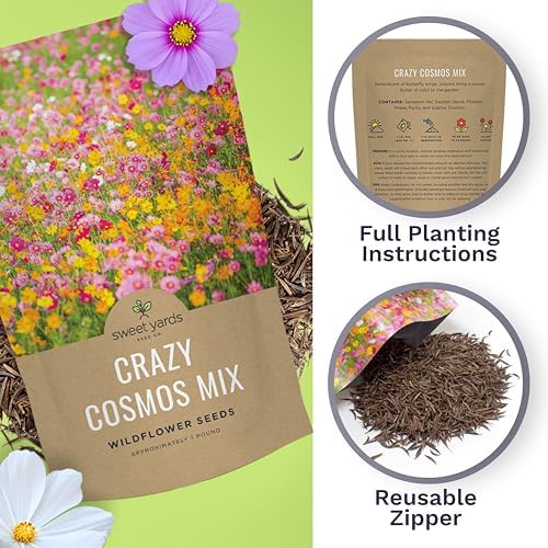 Bulk Cosmos Seeds Wildflower Mixture - 1 Pound Bag - Over 80,000 Seeds - Pink, Yellow, Orange, Red, Purple and White Mixed Species! - Image 5