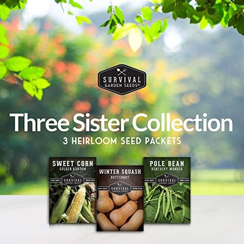 Three Sisters Seeds for Planting - Companion Gardening Collection - Image 2
