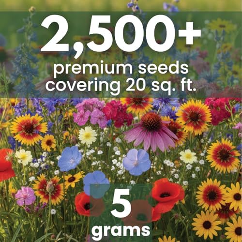 Midwest Regional Mix – 2,500 Seeds for Planting – 2026 Season – 5 Gram Pouch - Image 2