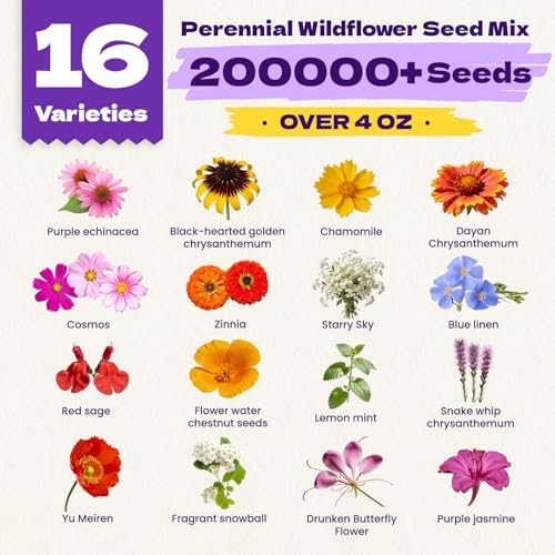 200,000+ Wildflower Seeds Bulk (4oz) – 16 Varieties Perennial & Annual Mix, Attract Bees, Butterflies & Hummingbirds, High Germination for Outdoor Pollinator Garden, Unique Gift for Mother, Women, Mom - Image 2