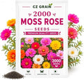 2000 Moss Rose Seeds | Portulaca Grandiflora Flower Seeds by CZGrain