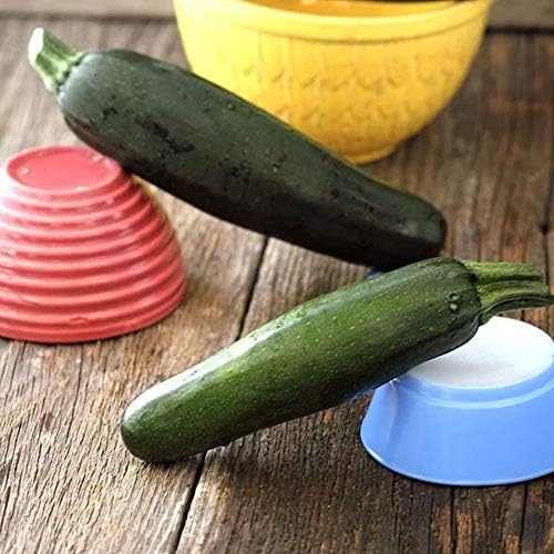 Sustainable Seed Co Organic Dark Green Zucchini Squash Seeds 4 g ~24 Seeds by SustainableSeed