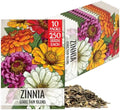 Seed Needs State Fair Zinnia Seeds to Plant Cut Flowers - 10 Packs by SeedNeeds