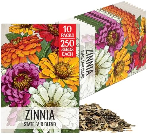 Seed Needs State Fair Zinnia Seeds to Plant Cut Flowers - 10 Packs by SeedNeeds