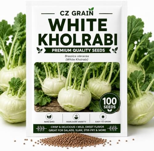 White Kohlrabi Seeds for Planting | 100 Seeds | Crisp Garden Vegetable by CZGrain