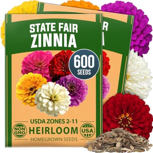 HOME GROWN State Fair Zinnia Seeds, 600 Seeds, Zinnia elegans by HOMEGROWN
