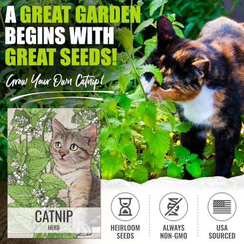 Seed Needs Catnip Seeds to Plant an Herb Garden - 2 Packs - Image 2