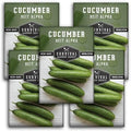 Beit Alpha Cucumber Seeds for Planting - Burpless Variety (3 Packs) by SurvivalGardenSeeds