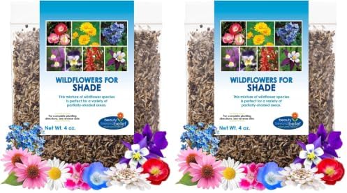 BBB Seed Partial Shade Wildflower Seeds Mix, Bulk 4 oz, Non-GMO Flowers (Pack of 2) by BBBSEED