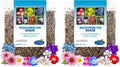 BBB Seed Partial Shade Wildflower Seeds Mix, Bulk 4 oz, Non-GMO Flowers (Pack of 2) by BBBSEED