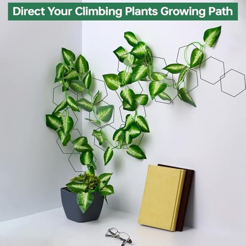 20pcs Chain Trellis for Climbing Plants Indoor, Metal Hexagonal Wall Plant Support Accessories for Vine Growth, Ivy, Pothos Live Plant Climber - Image 3