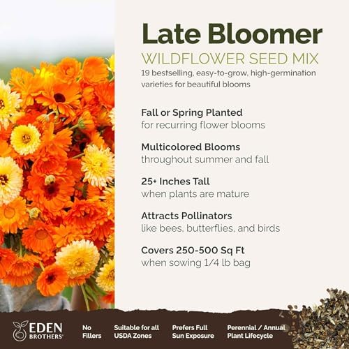 Eden Brothers Late Bloomer Wildflower Mixed Seeds for Planting, 1/4 lb, 120,000+ Seeds with White Yarrow, Snapdragon | Attracts Pollinators, Plant in Spring or Fall, Zones 3, 4, 5, 6, 7, 8, 9, 10 - Image 2