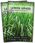 Sow Right Seeds - Lemon Grass Seed for Planting Mosquito Repellent Herb 2pk by SowRightSeeds