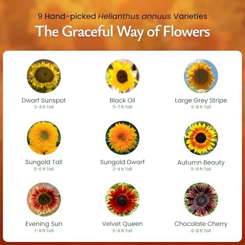 Sunflower Seed Mix for Planting, 9 Varieties, 1,000 Seeds, Covers 100 Sq Ft - Image 3