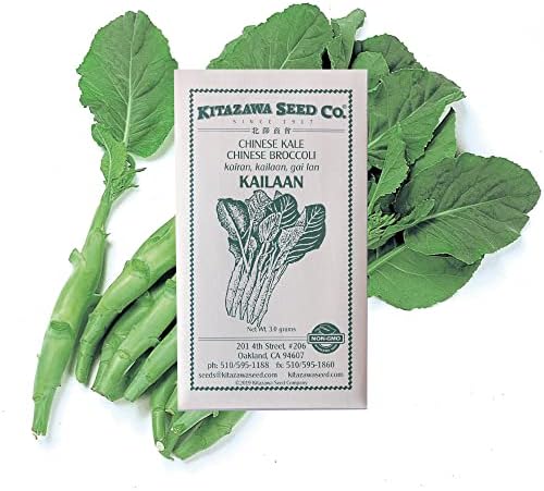 Kitazawa Seed Co Broccoli Seeds Chinese Broccoli Kailaan 3 g Non-GMO by KitazawaSeedCompany