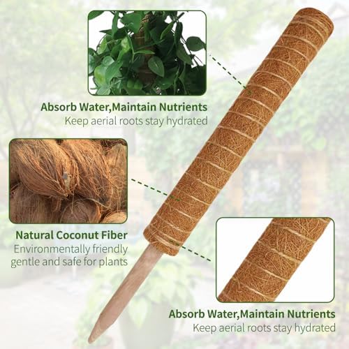 Monstera Plant Support Moss Pole, 2 Pack 16 Inch Stackable Coco Coir - Image 3