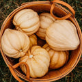 Thelma Sanders Squash - 25 Heirloom Acorn Squash Seeds, Thresh Seed Co. by ThreshSeedCo