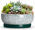 Pots for Succulents, 13 Inch Ceramic Bonsai Pots, Texture Green by Wliror