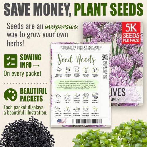 Seed Needs Common Chives Seeds to Plant Non-GMO Heirloom Herbs XL Pack - Image 3