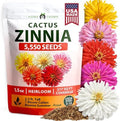 HOME GROWN Zinnia Cactus Mix 5550 Flower Seeds Zinnia elegans by HOMEGROWN
