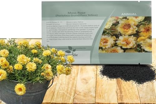 Outsidepride Yellow Moss Rose Seeds - 5000 Pcs Annual, Drought & Heat Tolerant, Pollinator Friendly Ground Cover Seeds for Planting w/Vibrant Blooms & Succulent Foliage, Ideal for Xeriscaping by Outsidepride