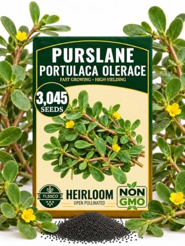 3000+ Purslane Heirloom Vegetable Seeds for Planting, Portulaca Oleracea by Unknown