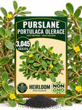 3000+ Purslane Heirloom Vegetable Seeds for Planting, Portulaca Oleracea by Unknown