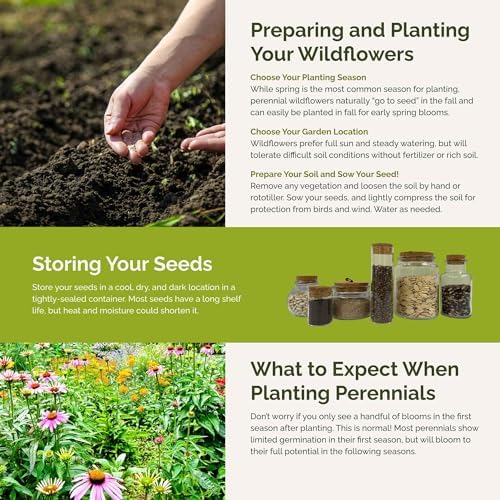 Eden Brothers Perennial Pollinator Wildflower Mixed Seeds, 1lb - Image 5