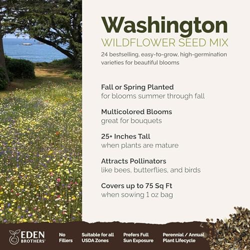 Eden Brothers Washington Wildflower Mixed Seeds for Planting, 1 oz - Image 2