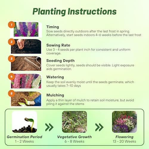 Outsidepride Butterfly Bush Mix Seeds - 100 Pcs. Perennial, Drought-Tolerant & Low Maintenance Flower Seeds for Planting Fast Growing & Aromatic, Tall Mixed Blooms, Great for Pollinator Gardens - Image 5