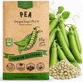 Pea Oregon Sugar Pod II Seeds Pack 15G - Over 75 Non-GMO Heirloom Pea Seeds for Planting Vegetables in Individual Seed Packet, Vegetable Seeds for Planting Home Garden Indoor & Outdoor by OrganoRepublic