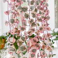 Variegated String of Hearts Succulent Trailing Vine, Indoor Houseplant Live in Pot by HILROQG