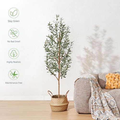 Faux Olive Tree 6FT – Tall Artificial Plants Indoor with Real Wood Trunk & Seagrass Basket, Lifelike Silk Leaves & Fruits – Potted Large Fake Trees for Home, Living Room, Bedroom & Office Decor - Image 2