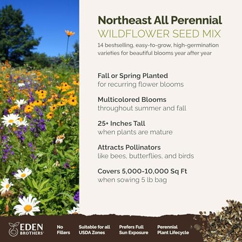 Eden Brothers Northeast All Perennial Wildflower Mixed Seeds, 5 lb - Image 2