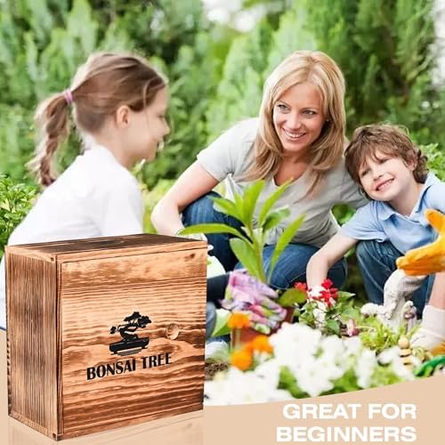 Bonsai Garden Starter Kit, 4 Seeds Growing into Sakura, Ginkgo, Black Pine, Red Flame, Including Complete Gardening Tools & A Planter Box with Cover for Men Women Beginners - Image 4