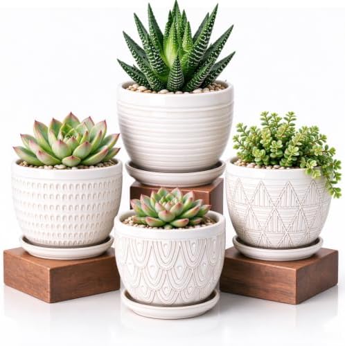 5.8 Inch Ceramic Pots for Plants, Large Succulent Pots with Drainage Hole & Saucer, Vintage Planter Pots for Indoor Plant Orchid, Cactus, Flower Pots Set of 4, Home Decor, White Black by MISSYSSIM