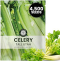 Celery Tall Utah – 4,500 Premium Seeds for Planting – Crisp, Aromatic, Slow-Bolting Heirloom for the 2026 Season – 2 Gram Pouch by FamilySown