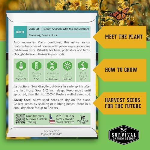 Native Prairie Sunflower Seeds (Helianthus petiolaris) (3 Pack) - Image 2