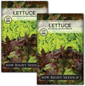 Sow Right Seeds- Heirloom Garden Blend Lettuce Seed for Planting Greens 2pk by SowRightSeeds