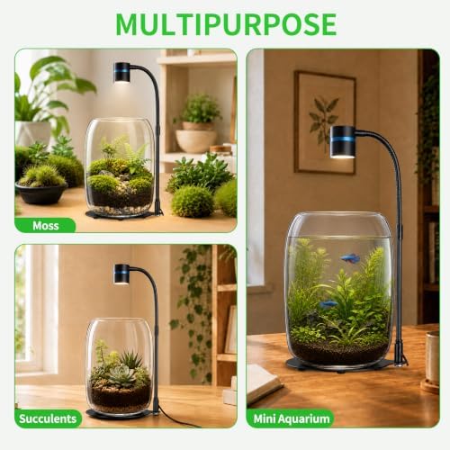 Glass Plant Terrarium with LED Grow Light for Home Office - Image 3