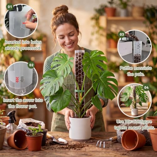 Plastic Moss Pole for Monstera and Climbing Plants (4 PACK-24Inch) - Image 4