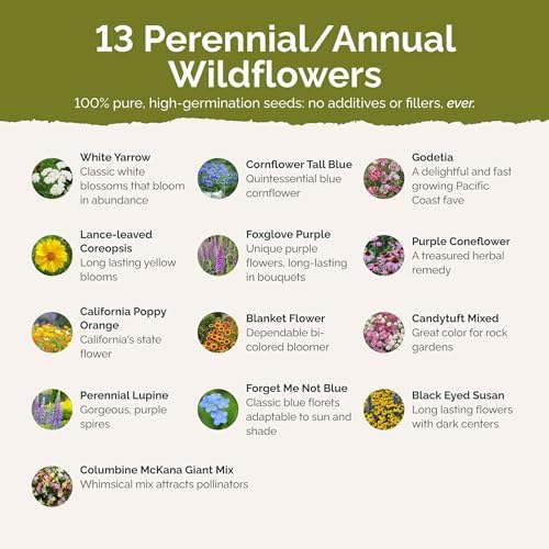 Eden Brothers Deer Resistant Wildflower Mixed Seeds for Planting, 1 lb - Image 3