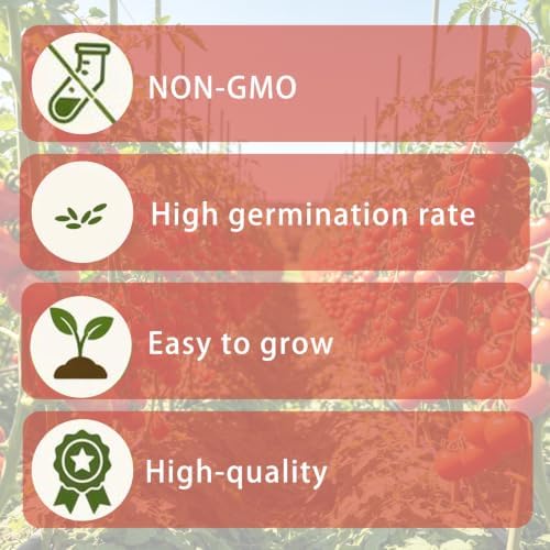 Cherry Tomato Seeds, Heirloom Mini Sweet Tomato Seeds for Planting Fruits - Image 7
