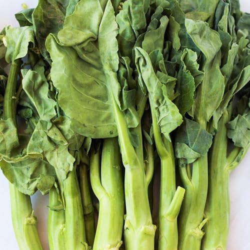 Chinese Broccoli Seeds - 2000+ Count - for 2026 Planting Jie LAN GAI LAN Rapini Rabe Kale Stem Greens Cabbage Yu Choy Kai LAN Asian Vegetable Grow Your Own Home Farm Patio Healthy by TomorrowSeeds