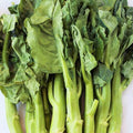 Chinese Broccoli Seeds - 2000+ Count - for 2026 Planting Jie LAN GAI LAN Rapini Rabe Kale Stem Greens Cabbage Yu Choy Kai LAN Asian Vegetable Grow Your Own Home Farm Patio Healthy by TomorrowSeeds