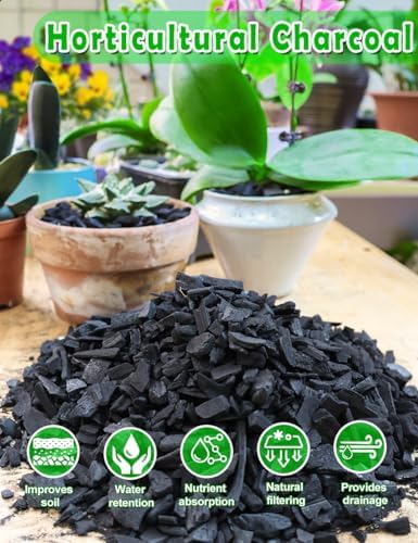 TOYPOPOR Horticultural Charcoal for Indoor Plants (3 Quarts) Hardwood Potting Soil Amendment Helps Improve Drainage for Orchids, Succulent, Cactus, Terrariums, and Gardening - Image 3
