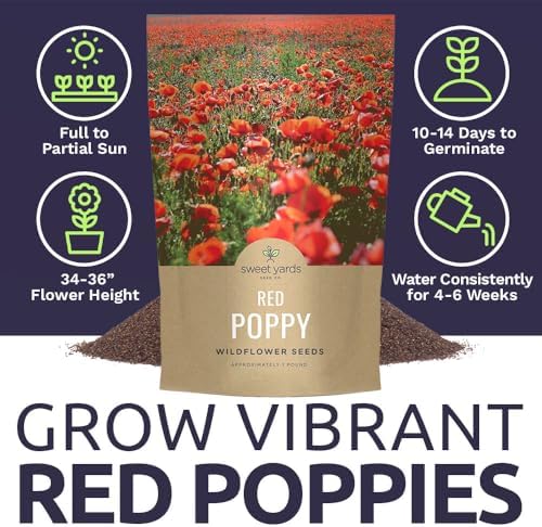 Red Poppy Seeds for Planting - Bulk 1 Pound Bag - Over 3,200,000 Wildflower Seeds - Image 7