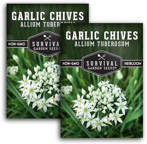 Garlic Chives Seeds for Planting - Heirloom Chinese Herb (2 Packs) by SurvivalGardenSeeds