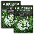 Garlic Chives Seeds for Planting - Heirloom Chinese Herb (2 Packs) by SurvivalGardenSeeds